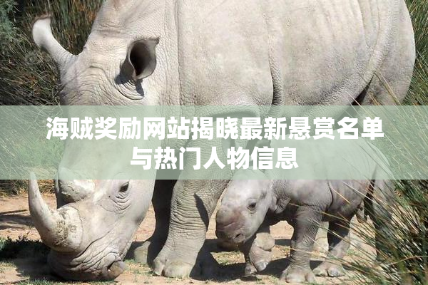 海贼奖励网站揭晓最新悬赏名单与热门人物信息