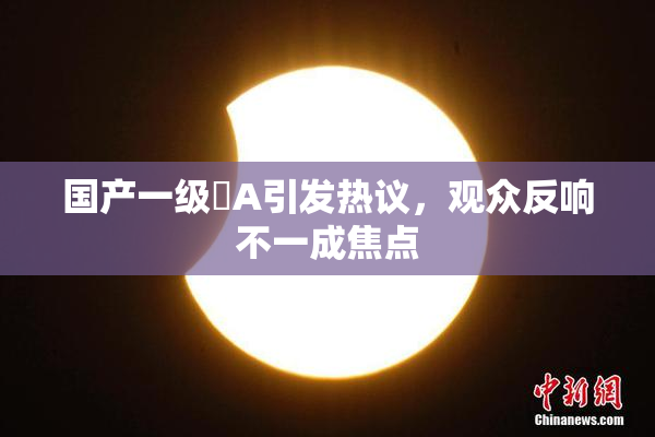 国产一级婬A引发热议，观众反响不一成焦点
