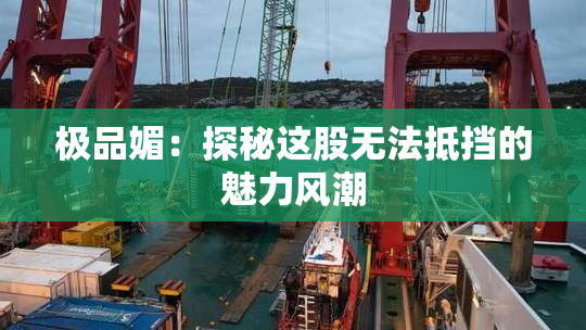 极品媚：探秘这股无法抵挡的魅力风潮