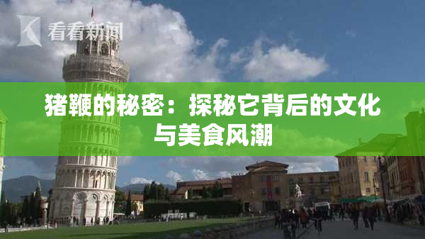 猪鞭的秘密：探秘它背后的文化与美食风潮