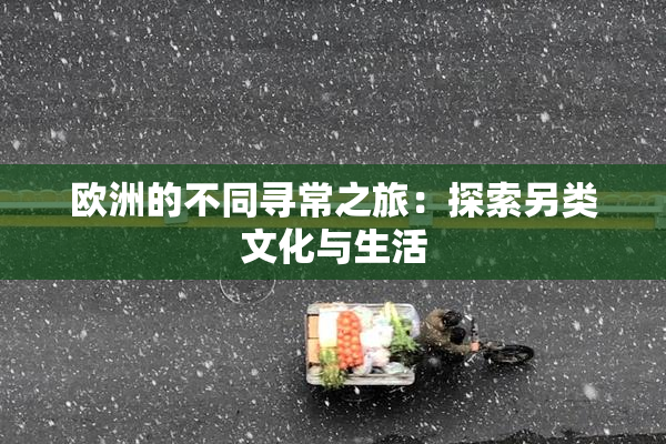 欧洲的不同寻常之旅：探索另类文化与生活