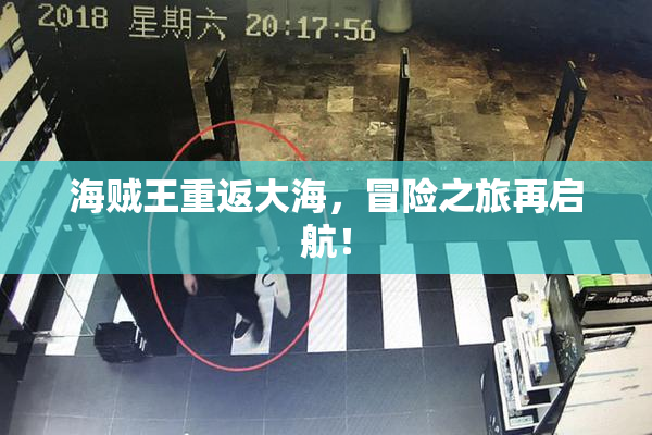 海贼王重返大海，冒险之旅再启航！