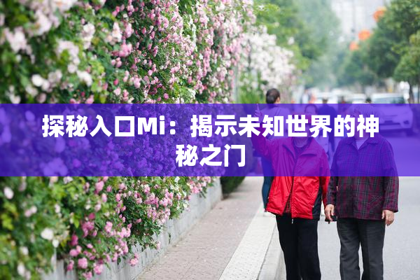 探秘入口Mi：揭示未知世界的神秘之门