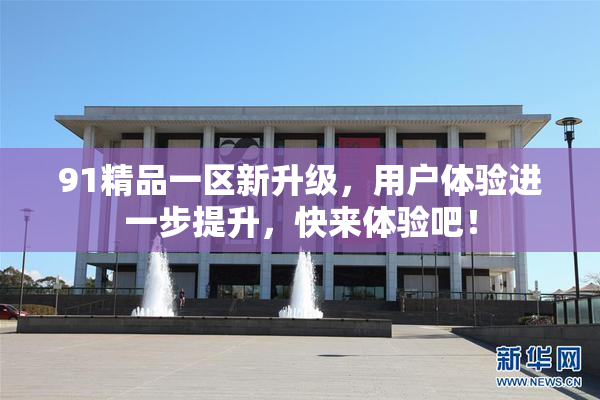 91精品一区新升级，用户体验进一步提升，快来体验吧！