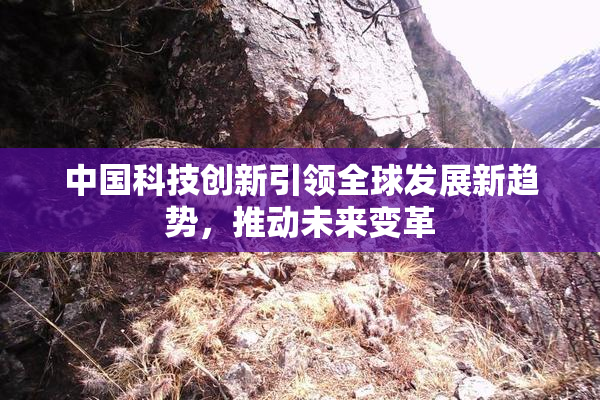 中国科技创新引领全球发展新趋势，推动未来变革