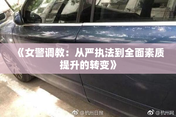 《女警调教：从严执法到全面素质提升的转变》