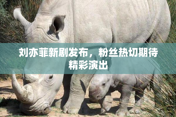 刘亦菲新剧发布，粉丝热切期待精彩演出