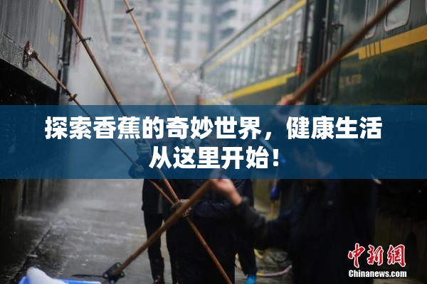 探索香蕉的奇妙世界，健康生活从这里开始！