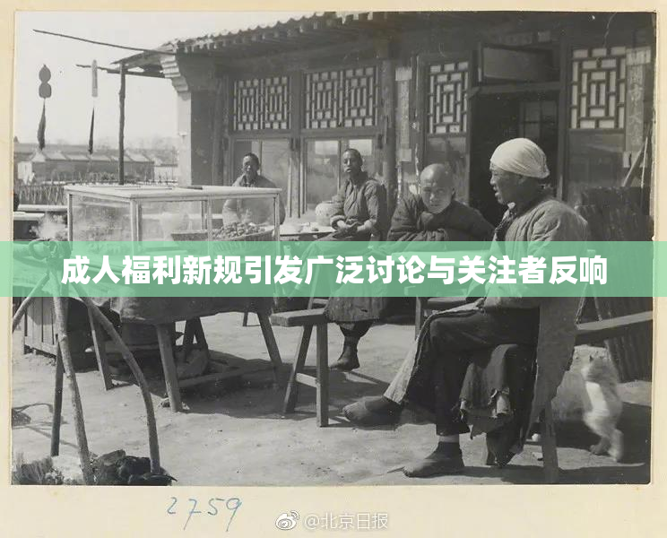 成人福利新规引发广泛讨论与关注者反响