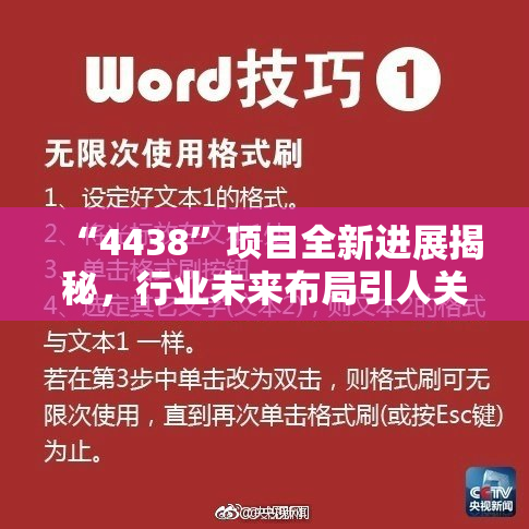 “4438”项目全新进展揭秘，行业未来布局引人关注