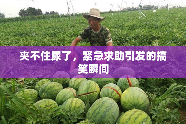 夹不住尿了，紧急求助引发的搞笑瞬间