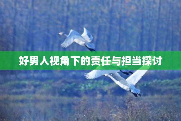 好男人视角下的责任与担当探讨