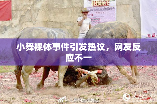 小舞裸体事件引发热议，网友反应不一