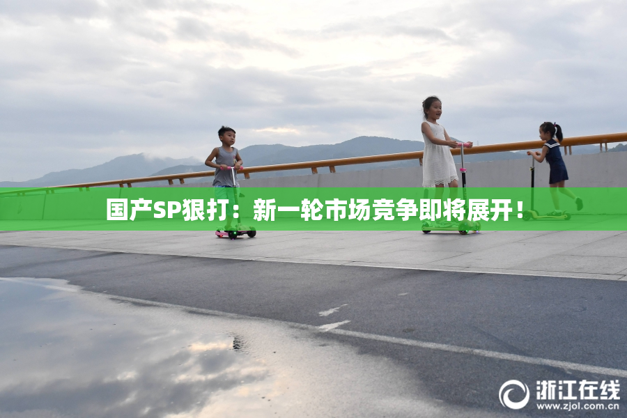 国产SP狠打：新一轮市场竞争即将展开！