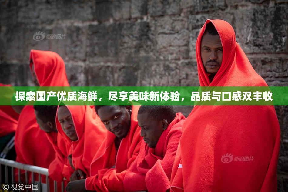 探索国产优质海鲜，尽享美味新体验，品质与口感双丰收