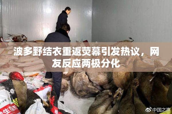 波多野结衣重返荧幕引发热议，网友反应两极分化