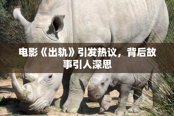 电影《出轨》引发热议，背后故事引人深思