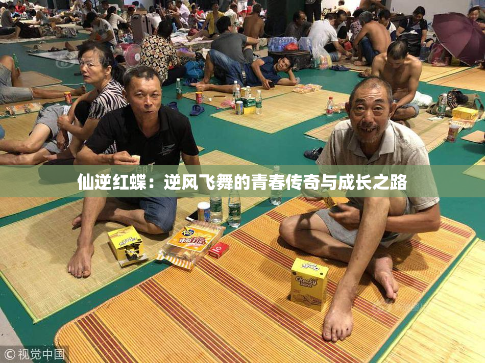 仙逆红蝶：逆风飞舞的青春传奇与成长之路