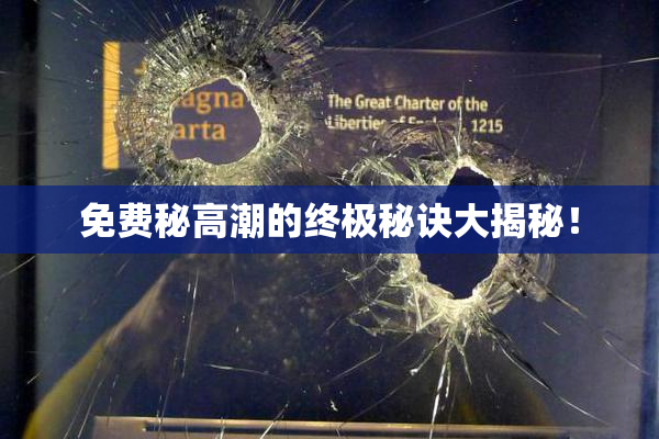 免费秘高潮的终极秘诀大揭秘！