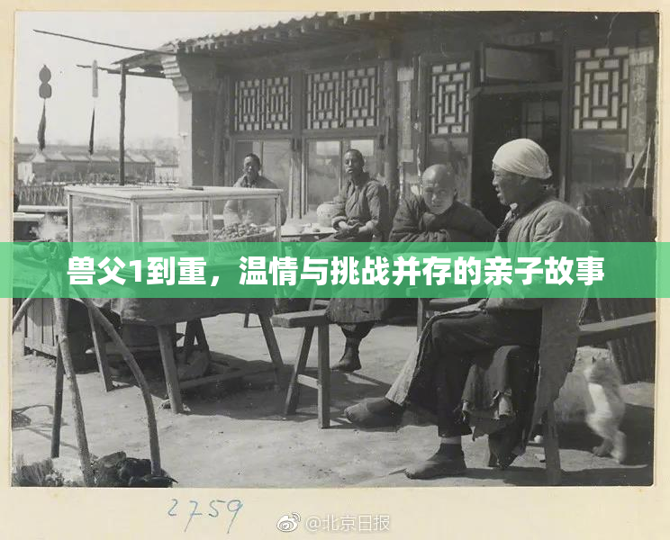 兽父1到重，温情与挑战并存的亲子故事