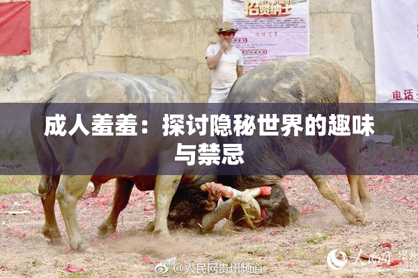 成人羞羞：探讨隐秘世界的趣味与禁忌