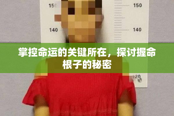 掌控命运的关键所在，探讨握命根子的秘密