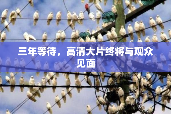 三年等待，高清大片终将与观众见面