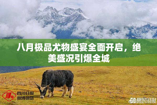 八月极品尤物盛宴全面开启，绝美盛况引爆全城