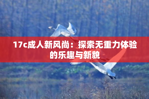 17c成人新风尚：探索无重力体验的乐趣与新貌
