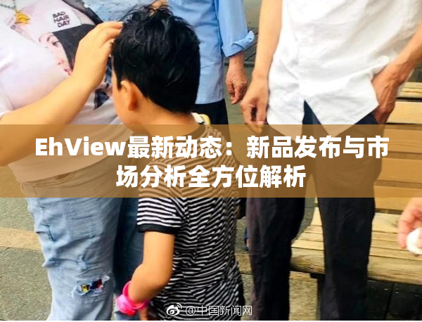 EhView最新动态：新品发布与市场分析全方位解析