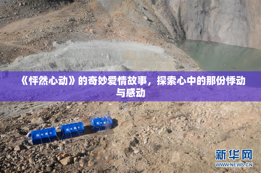 《怦然心动》的奇妙爱情故事，探索心中的那份悸动与感动