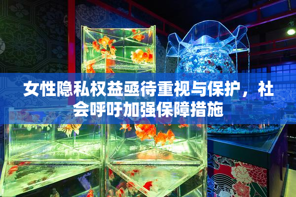 女性隐私权益亟待重视与保护，社会呼吁加强保障措施