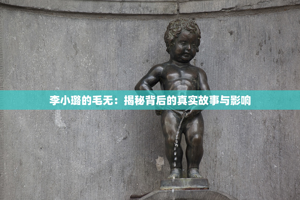 李小璐的毛无：揭秘背后的真实故事与影响