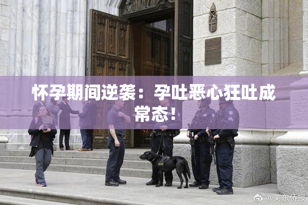 怀孕期间逆袭：孕吐恶心狂吐成常态！