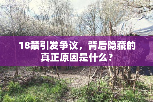 18禁引发争议，背后隐藏的真正原因是什么？