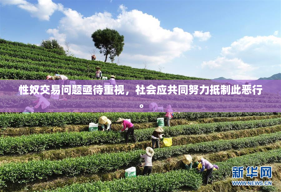 性奴交易问题亟待重视，社会应共同努力抵制此恶行。