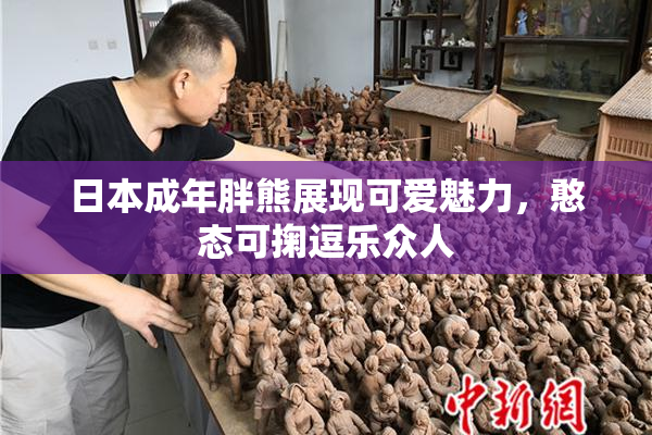 日本成年胖熊展现可爱魅力，憨态可掬逗乐众人