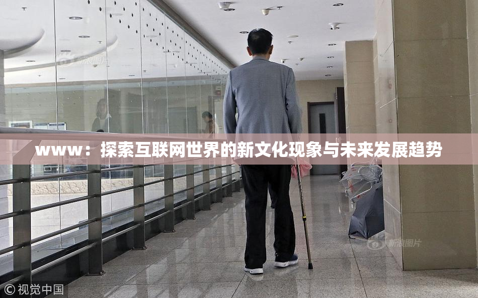 www：探索互联网世界的新文化现象与未来发展趋势