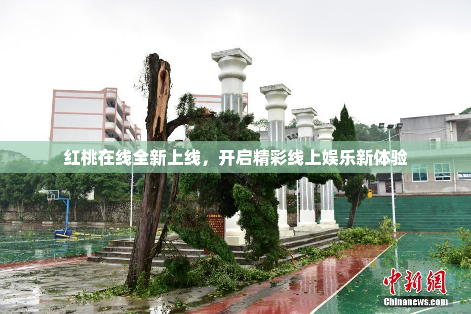 红桃在线全新上线，开启精彩线上娱乐新体验