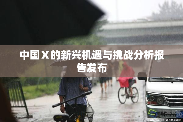 中国Ⅹ的新兴机遇与挑战分析报告发布