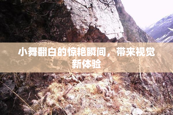 小舞翻白的惊艳瞬间，带来视觉新体验