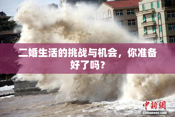 二婚生活的挑战与机会，你准备好了吗？