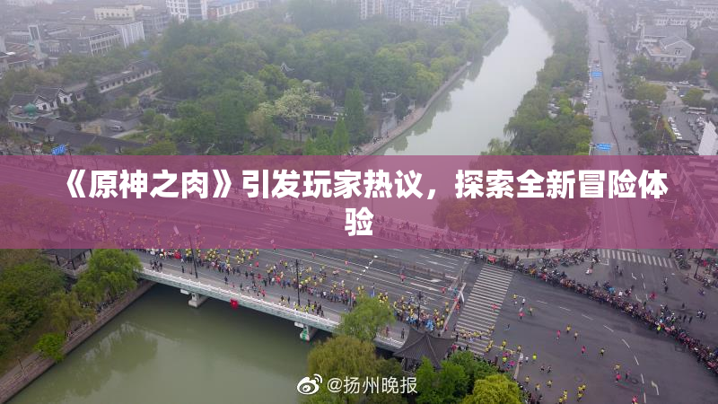 《原神之肉》引发玩家热议，探索全新冒险体验