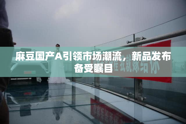 麻豆国产A引领市场潮流，新品发布备受瞩目