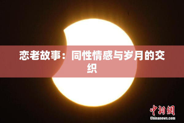 恋老故事：同性情感与岁月的交织