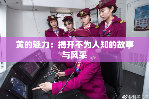 黄的魅力：揭开不为人知的故事与风采
