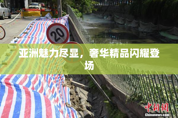 亚洲魅力尽显，奢华精品闪耀登场