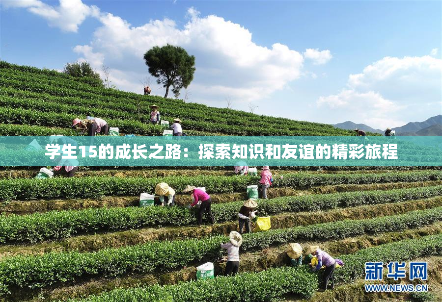 学生15的成长之路：探索知识和友谊的精彩旅程