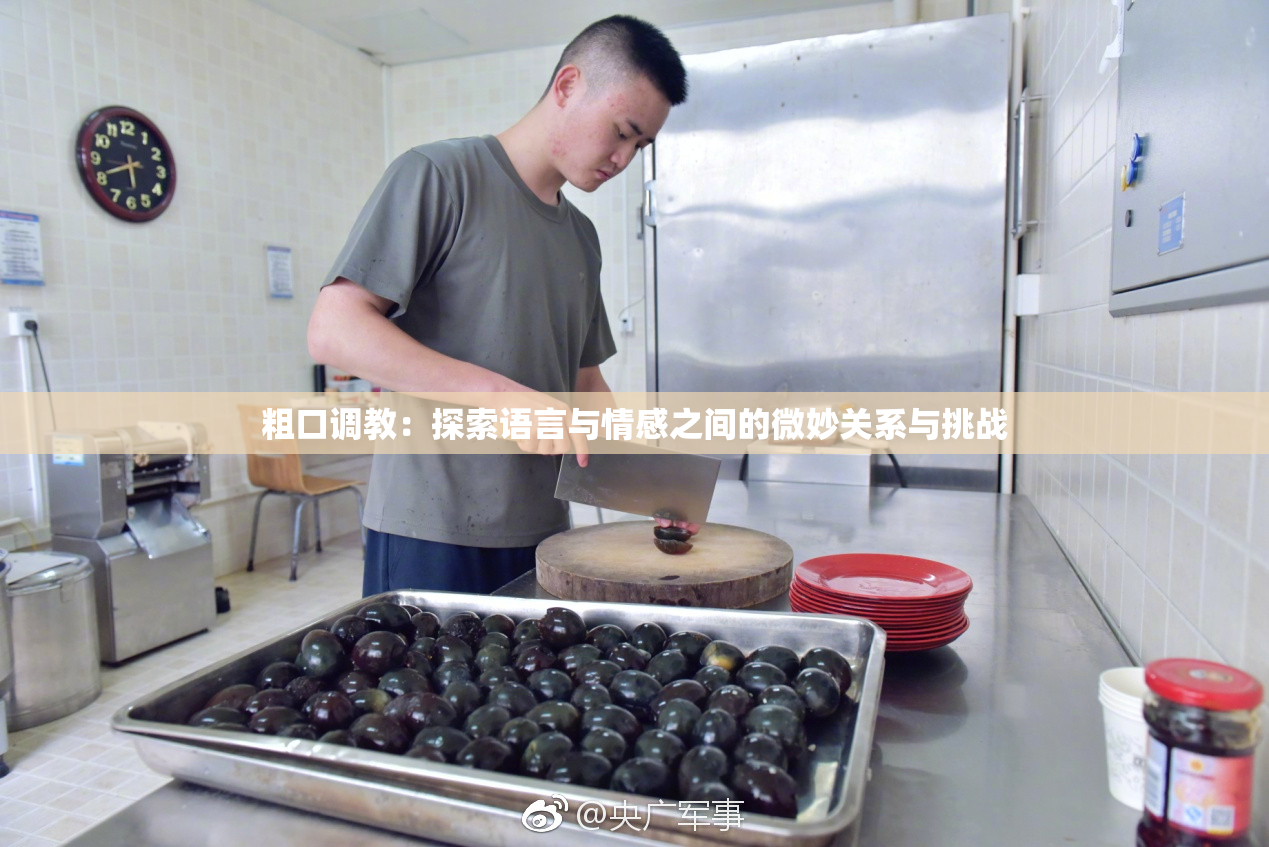 粗口调教：探索语言与情感之间的微妙关系与挑战