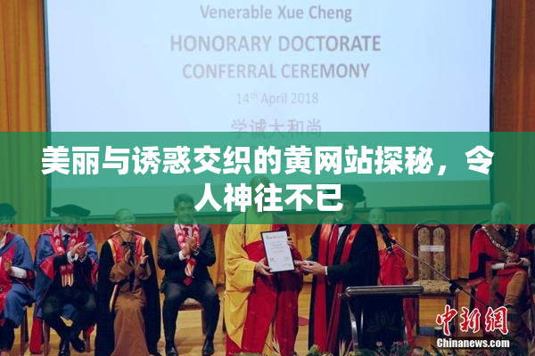 美丽与诱惑交织的黄网站探秘，令人神往不已